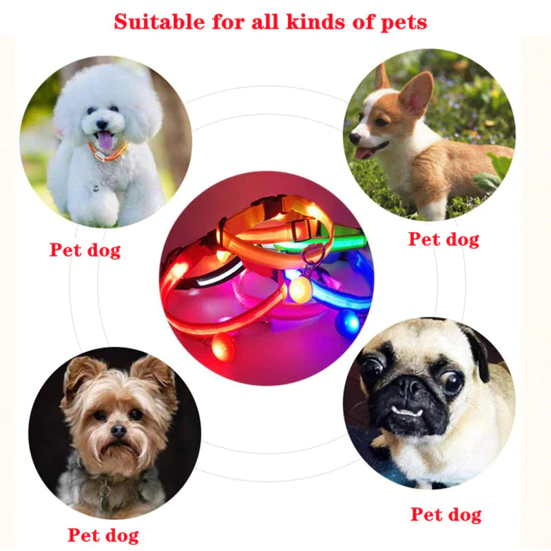 LED Glow Dog Collar – Waterproof, Adjustable & Rechargeable for Night Safety