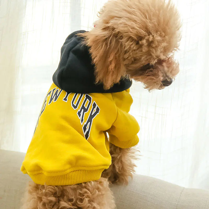 Pet's Comfy Cotton Hoodie