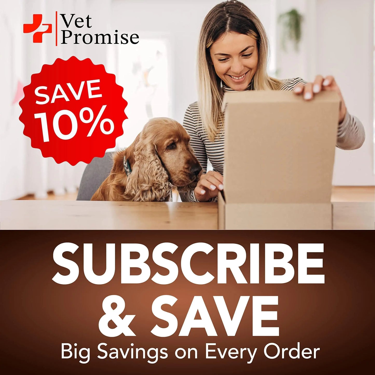 Great Poop Probiotics for Dogs
