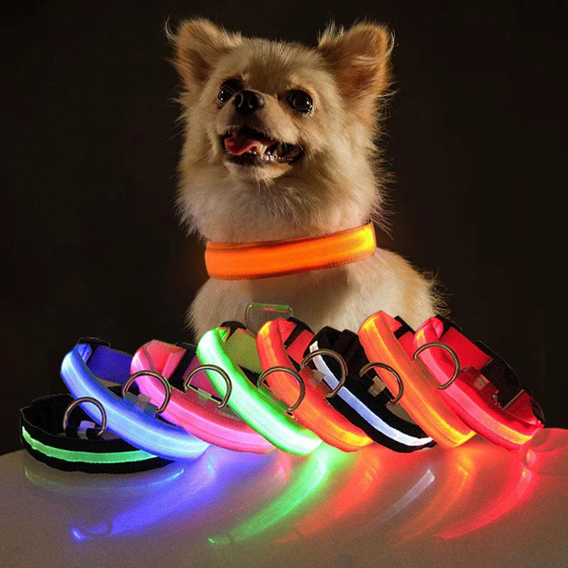 LED Glow Dog Collar – Waterproof, Adjustable & Rechargeable for Night Safety