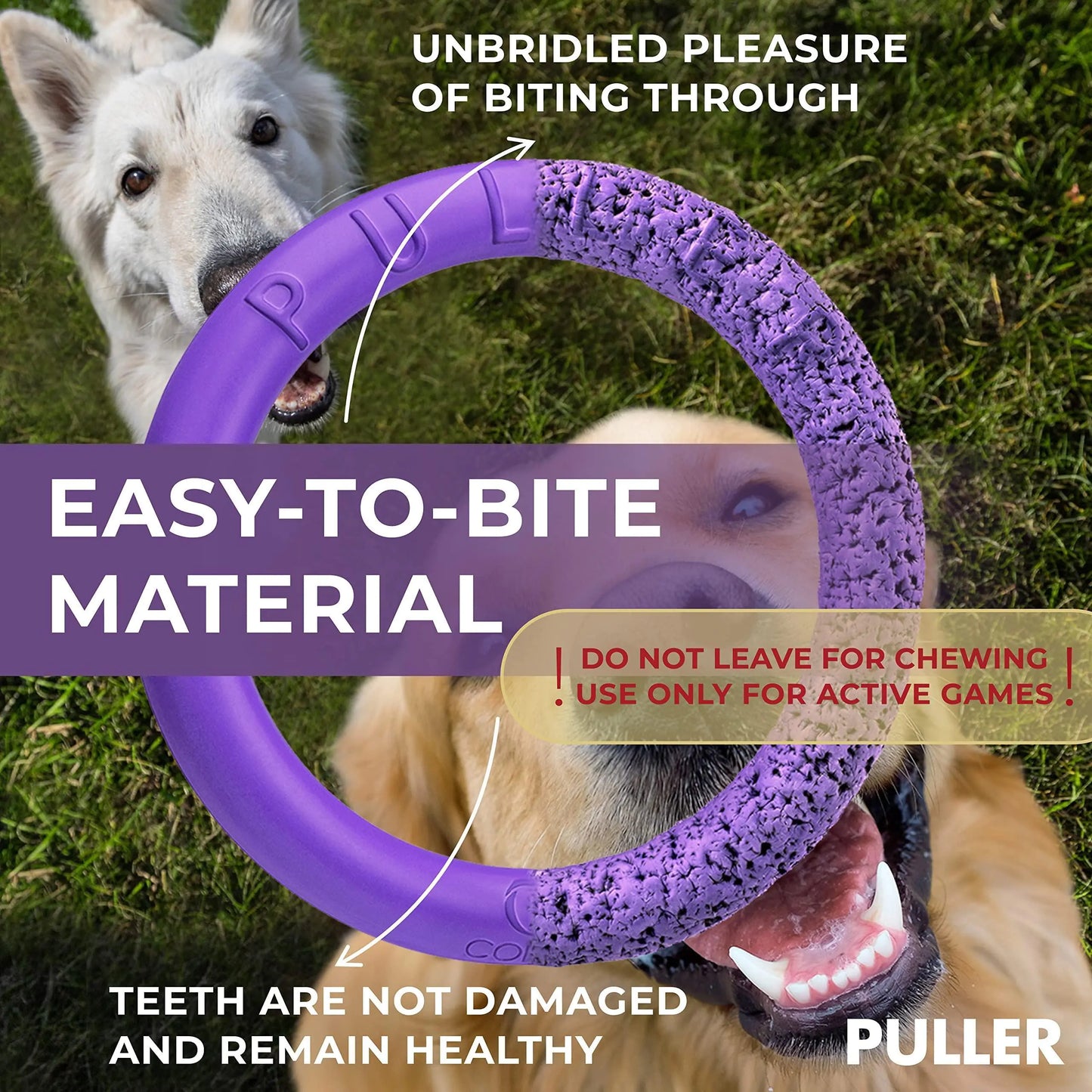 Puller Outdoor Dog Ring