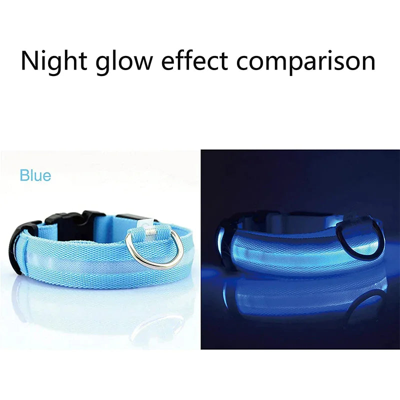 LED Glow Dog Collar – Waterproof, Adjustable & Rechargeable for Night Safety