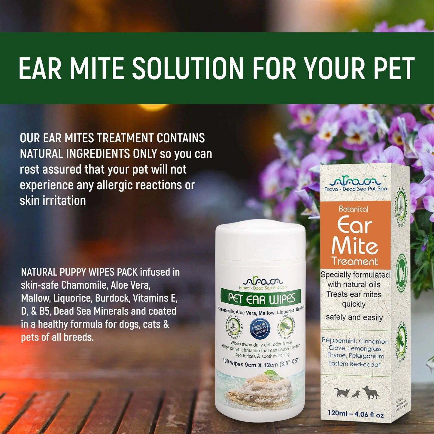 Natural Ear Mite Treatment for Dogs & Cats