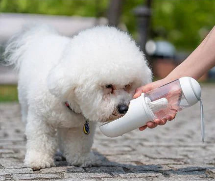 Pet Hydration Travel Bottle