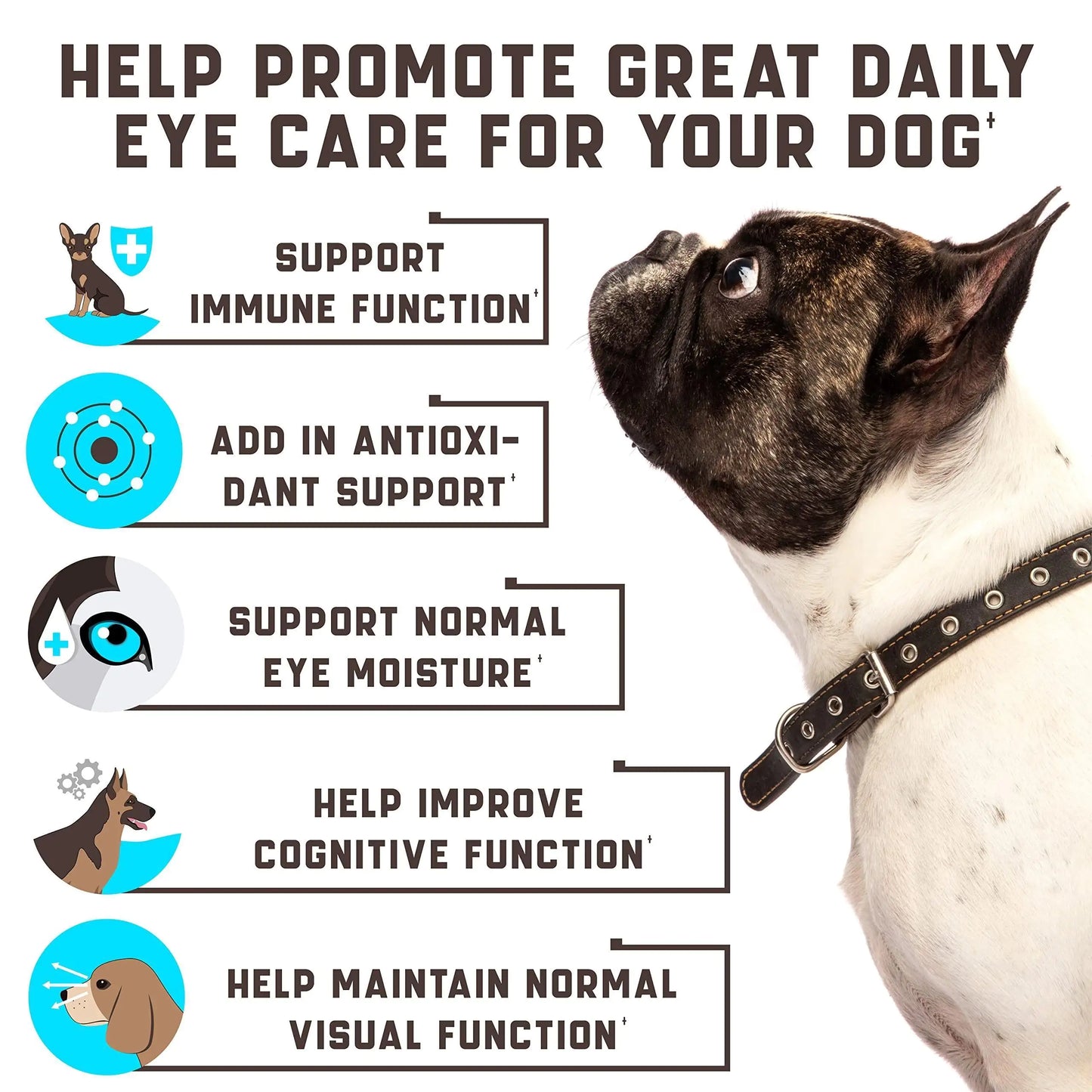 Duck-Flavored Dog Eye Health Chews
